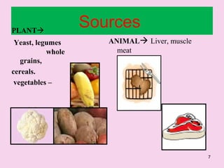 7
SourcesPLANT
Yeast, legumes
whole
grains,
cereals.
vegetables –
potatoes ,
cauliflower,
fruits – banana
ANIMAL Liver, muscle
meat
 