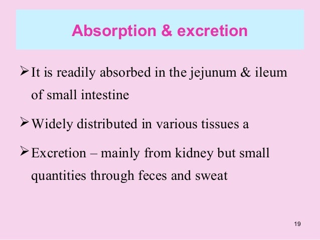Vitamin B6 Function