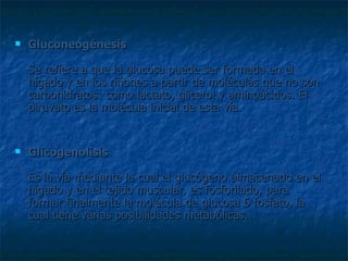 Gluconeogénesis Se refiere a que la glucosa puede ser formada en el hígado y en los riñones a partir de moléculas que no son carbohidratos: como lactato, glicerol y aminoácidos. El piruvato es la molécula inicial de esta vía. Glicogenolisis Es la vía mediante la cual el glucógeno almacenado en el hígado y en el tejido muscular, es fosforilado, para formar finalmente la molécula de glucosa 6 fosfato, la cual tiene varias posibilidades metabólicas. 