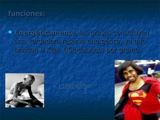 funciones:   Energéticamente , las grasas constituyen una verdadera reserva energética, ya que brindan 9 Kcal. (Kilocalorías) por gramo. + LIPIDOS= 