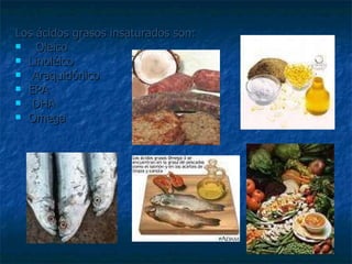 Los ácidos grasos insaturados son: Oleico Linoléico Araquidónico  EPA  DHA  Omega  