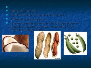 E Antioxidante natural.  Estabilización de las membranas celulares. Protege los ácidos grasos. Aceites vegetales, Yema de huevo, Hígado, Panes integrales, Legumbres verdes, Cacahuate, Coco, Vegetales de hojas verdes 