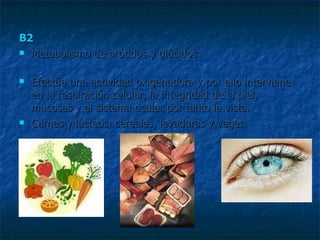 B2 Metabolismo de prótidos y glúcidos  Efectúa una actividad oxigenadora y por ello interviene en la respiración celular, la integridad de la piel, mucosas y el sistema ocular por tanto la vista.  Carnes y lácteos, cereales, levaduras y veget 