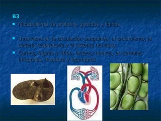 B3 Metabolismo de prótidos, glúcidos y lípidos  Interviene en la circulación sanguínea, el crecimiento, la cadena respiratoria y el sistema nervioso.  Carnes, hígado y riñón, lácteos, huevos, en cereales integrales, levadura y legumbres 