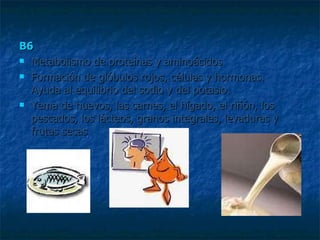 B6 Metabolismo de proteínas y aminoácidos  Formación de glóbulos rojos, células y hormonas.  Ayuda al equilibrio del sodio y del potasio.  Yema de huevos, las carnes, el hígado, el riñón, los pescados, los lácteos, granos integrales, levaduras y frutas secas 