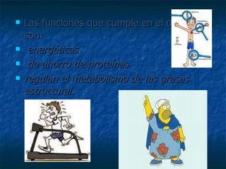 Las funciones que cumple en el organismo son: energéticas de ahorro de proteínas regulan el metabolismo de las grasas estructural .  
