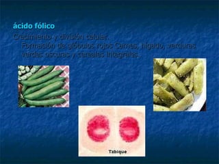 ácido fólico Crecimiento y división celular.  Formación de glóbulos rojos Carnes, hígado, verduras verdes oscuras y cereales integrales. 