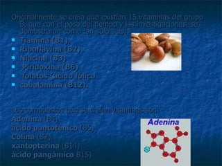Originalmente se creía que existían 15 vitaminas del grupo B, que con el paso del tiempo y las investigaciones, se demostraron como tan solo seis:  Tiamina (B1) , Riboflavina (B2) Niacina (B3) Piridoxina (B6) folatos (ácido fólico   cobalamina (B12) .  Los compuestos que se creían vitaminas son:  Adenina  (B4) ácido pantoténico  (B5)  Colina  (B7),  xantopterina  (B14)  ácido pangámico  B15)  