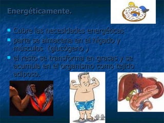 Energéticamente. Cubre las necesidades energéticas parte se almacena en el hígado y músculos  (glucógeno ) el resto se transforma en grasas y se acumula en el organismo como tejido adiposo.  