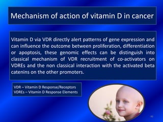 Mechanism of action of vitamin D in cancer
Vitamin D via VDR directly alert patterns of gene expression and
can influence the outcome between proliferation, differentiation
or apoptosis, these genomic effects can be distinguish into
classical mechanism of VDR recruitment of co-activators on
VDREs and the non classical interaction with the activated beta
catenins on the other promoters.
VDR – Vitamin D Response/Receptors
VDREs – Vitamin D Response Elements
46
 