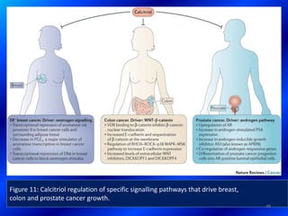 Figure 11: Calcitriol regulation of specific signalling pathways that drive breast,
colon and prostate cancer growth.
48
 