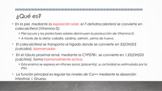 ¿Qué es?
• En la piel, mediante la exposición solar, el 7-dehidrocolesterol se convierte en
colecalciferol (Vitamina D).
 Piel oscura y los protectores solares disminuyen la producción de Vitamina D.
 A través de la dieta: caballa, sardina, salmón, yema de huevo.
• El colecalciferol se transporta al hígado donde se convierte en 25(OH)D3
(calcidiol), biomarcador.
• En el túbulo proximal renal, mediante la CYP27B1, se convierte en 1,25(OH)D3
(calcitriol), forma hormonalmente activa.
 Esta enzima se expresa en riñones sanos (placenta), su actividad es estimulada por la
PTH.
• La función principal es regular los niveles de Ca++ mediante la absorción
intestinal, I. Grueso.
 