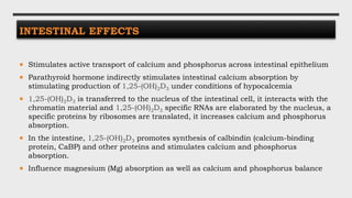 INTESTINAL EFFECTS
 Stimulates active transport of calcium and phosphorus across intestinal epithelium
 Parathyroid hormone indirectly stimulates intestinal calcium absorption by
stimulating production of 1,25-(OH)2D3 under conditions of hypocalcemia
 1,25-(OH)2D3 is transferred to the nucleus of the intestinal cell, it interacts with the
chromatin material and 1,25-(OH)2D3 specific RNAs are elaborated by the nucleus, a
specific proteins by ribosomes are translated, it increases calcium and phosphorus
absorption.
 In the intestine, 1,25-(OH)2D3 promotes synthesis of calbindin (calcium-binding
protein, CaBP) and other proteins and stimulates calcium and phosphorus
absorption.
 Influence magnesium (Mg) absorption as well as calcium and phosphorus balance
 