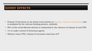 KIDNEY EFFECTS
 Vitamin D functions in the distal renal tubules to improve calcium reabsorption and
is mediated by the calcium-binding protein, calbindin
 99% of the renal-filtered calcium is reabsorbed in the absence of vitamin D and PTH
 1% is under control of hormonal agents
 Without intact PTH, vitamin D increases renal loss of P
 