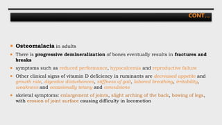 CONT…
 Osteomalacia in adults
 There is progressive demineralization of bones eventually results in fractures and
breaks
 symptoms such as reduced performance, hypocalcemia and reproductive failure
 Other clinical signs of vitamin D deficiency in ruminants are decreased appetite and
growth rate, digestive disturbances, stiffness of gait, labored breathing, irritability,
weakness and occasionally tetany and convulsions
 skeletal symptoms: enlargement of joints, slight arching of the back, bowing of legs,
with erosion of joint surface causing difficulty in locomotion
 