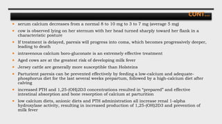 CONT…
 serum calcium decreases from a normal 8 to 10 mg to 3 to 7 mg (average 5 mg)
 cow is observed lying on her sternum with her head turned sharply toward her flank in a
characteristic posture
 If treatment is delayed, paresis will progress into coma, which becomes progressively deeper,
leading to death
 intravenous calcium boro-gluconate is an extremely effective treatment
 Aged cows are at the greatest risk of developing milk fever
 Jersey cattle are generally more susceptible than Holsteins
 Parturient paresis can be prevented effectively by feeding a low-calcium and adequate-
phosphorus diet for the last several weeks prepartum, followed by a high-calcium diet after
calving
 increased PTH and 1,25-(OH)2D3 concentrations resulted in “prepared” and effective
intestinal absorption and bone resorption of calcium at parturition
 low calcium diets, anionic diets and PTH administration all increase renal 1-alpha
hydroxylase activity, resulting in increased production of 1,25-(OH)2D3 and prevention of
milk fever
 