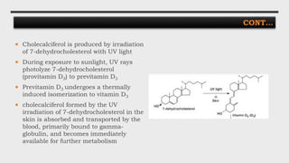 CONT…
 Cholecalciferol is produced by irradiation
of 7-dehydrocholesterol with UV light
 During exposure to sunlight, UV rays
photolyze 7-dehydrocholesterol
(provitamin D3) to previtamin D3
 Previtamin D3 undergoes a thermally
induced isomerization to vitamin D3
 cholecalciferol formed by the UV
irradiation of 7-dehydrocholesterol in the
skin is absorbed and transported by the
blood, primarily bound to gamma-
globulin, and becomes immediately
available for further metabolism
 
