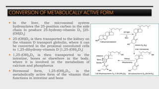 CONVERSION OF METABOLICALLY ACTIVE FORM
 In the liver, the microsomal system
hydroxylates the 25-position carbon in the side
chain to produce 25-hydroxy-vitamin D3 [25-
(OH)D3]
 25-(OH)D3 is then transported to the kidney on
the vitamin D transport globulin, where it can
be converted in the proximal convoluted cells
to 1,25-dihydroxy-vitamin D [1,25-(OH)2D3]
 1,25-(OH)2D3 is then transported to the
intestine, bones or elsewhere in the body,
where it is involved in the metabolism of
calcium and phosphorus
 Hormonal form, 1,25-(OH)2D3, is the
metabolically active form of the vitamin that
functions in intestine and bone
 