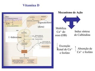 Vitamina D

                                              Mecanismo de Ação


                           Ergocalciferol
UV
                           (dieta)
                                            Mobiliza
                                             Ca2+ do         Induz síntese
                                            osso (OB)        de Calbindina
 1 -hidroxilase


                                               Excreção
                                             Renal de Ca2+     Absorção de
                                               e fosfato       Ca2+ e fosfato
 