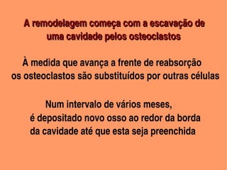         

         A remodelagem começa com a escavação de          
                   uma cavidade pelos osteoclastos

      À medida que avança a frente de reabsorção
    os osteoclastos são substituídos por outras células

              Num intervalo de vários meses,
            é depositado novo osso ao redor da borda 
            da cavidade até que esta seja preenchida

                              
 