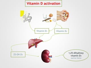 Vitamin D activation
Vitamin D3 Vitamin D2
25-OH D3
1,25-dihydroxy
vitamin D3
(active form)
 