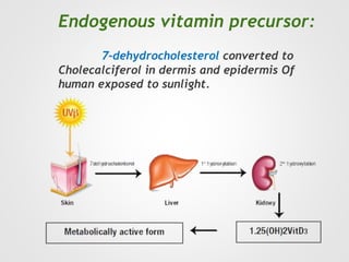 Endogenous vitamin precursor:
7-dehydrocholesterol converted to
Cholecalciferol in dermis and epidermis Of
human exposed to sunlight.
 