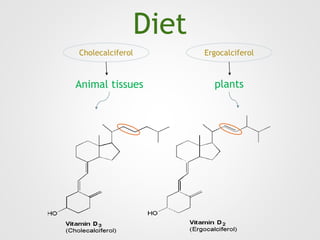 Diet
ErgocalciferolCholecalciferol
plantsAnimal tissues
 