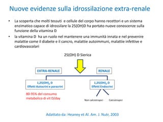 Nuove evidenze sulla idrossilazione extra-renale
• La scoperta che molti tessuti e cellule del corpo hanno recettori e un sistema
enzimatico capace di idrossilare la 25(OH)D ha portato nuove conoscenze sulla
funzione della vitamina D
• la vitamina D ha un ruolo nel mantenere una immunità innata e nel prevenire
malattie come il diabete e il cancro, malattie autoimmuni, malattie infettive e
cardiovascolari
25(OH) D Sierica
EXTRA-RENALE RENALE
1,25(OH)2 D
Effetti Autocrini e paracrini
1,25(OH)2 D
Effetti Endocrini
CalciotropiciNon calciotropici
80-95% del consumo
metabolico di vit D/day
Adattato da: Heaney et Al. Am. J. Nutr, 2003
 