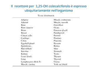 Il recettore per 1,25-OH colecalciferolo è espresso
ubiquitariamante nell’organismo
Norman AW, Am J Clin Nutr, 2008
 