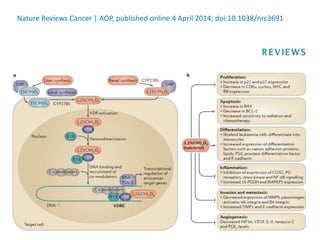 Nature Reviews Cancer | AOP, published online 4 April 2014; doi:10.1038/nrc3691
 