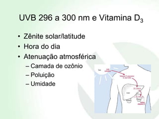 UVB 296 a 300 nm e Vitamina D3

• Zênite solar/latitude
• Hora do dia
• Atenuação atmosférica
  – Camada de ozônio
  – Poluição
  – Umidade
 