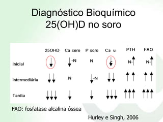 Diagnóstico Bioquímico
           25(OH)D no soro


                                        c




FAO: fosfatase alcalina óssea
                                Hurley e Singh, 2006
 