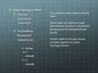 Base Pairing in DNA
Purines
Adenine(A)
Guanine(G)

Pryimidines
Thymine(T)
Cytosine (C)
Pairing
A:T

2 bonds
C:G
3 bonds

Two strands coiled called a double
helix
Sides made of a pentose sugar
Deoxyribose bonded to phosphate
(po4) groups by phosphodiester
bonds.
Center made of nitrogen bases
bonded together by weak
hydrogen bonds.

 