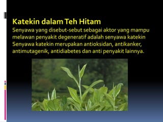 Katekin dalamTeh Hitam
Senyawa yang disebut-sebut sebagai aktor yang mampu
melawan penyakit degeneratif adalah senyawa katekin
Senyawa katekin merupakan antioksidan, antikanker,
antimutagenik, antidiabetes dan anti penyakit lainnya.
 
