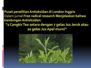 Pusat penelitian Antioksidan di London Inggris
Dalam jurnal Free radical research Menjelaskan bahwa
kandungan Antioksidan:
“2 CangkirTea setara dengan 7 gelas Jus Jeruk atau
20 gelas Jus Apel murni”
 