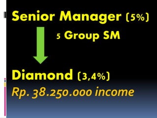 Senior Manager (5%)
Diamond (3,4%)
Rp. 38.250.000 income
5 Group SM
 
