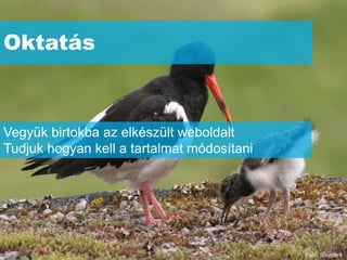 Oktatás



Vegyük birtokba az elkészült weboldalt
Tudjuk hogyan kell a tartalmat módosítani




                                            Fotó: foxypar4
 
