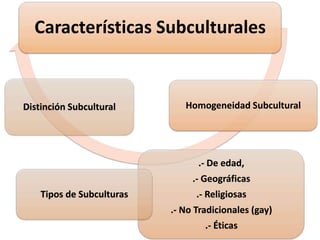 Características Subculturales


Distinción Subcultural        Homogeneidad Subcultural




                                 .- De edad,
                                .- Geográficas
    Tipos de Subculturas         .- Religiosas
                           .- No Tradicionales (gay)
                                   .- Éticas
 
