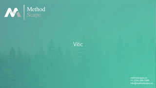Vitic
methodscape.co
+1 (234) 285-7399
info@methodscape.co
 