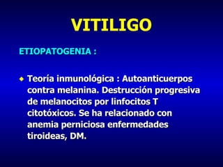 VITILIGO ETIOPATOGENIA : Teoría inmunológica : Autoanticuerpos contra melanina. Destrucción progresiva de melanocitos por linfocitos T citotóxicos. Se ha relacionado con anemia perniciosa enfermedades tiroideas, DM. 