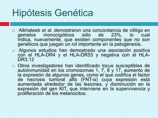 Hipótesis Genética






Alkhateeb et al. demostraron una concordancia de vitiligo en
gemelos
monocigóticos
sólo
de
23%,
lo
cual
indica, nuevamente, que existen componentes que no son
genéticos que juegan un rol importante en la patogénesis.
Algunos estudios han demostrado una asociación positiva
con el HLA-DR4 y el HLA-DR53 y negativa con el HLADR3.12
Otros investigadores han identificado locus susceptibles de
autoinmunidad en los cromosomas 1, 7, 8 y 17, aumento de
la expresión de algunos genes, como el que codifica el factor
de necrosis tumoral alfa (FNT-α) cuya expresión está
aumentada alrededor de las lesiones, y disminución en la
expresión del gen KIT, que interviene en la supervivencia y
proliferación de los melanocitos.

 