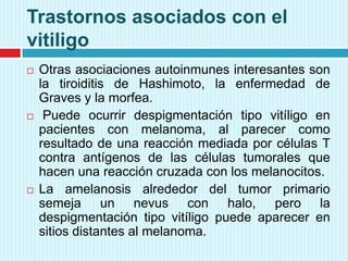 Trastornos asociados con el
vitiligo






Otras asociaciones autoinmunes interesantes son
la tiroiditis de Hashimoto, la enfermedad de
Graves y la morfea.
Puede ocurrir despigmentación tipo vitíligo en
pacientes con melanoma, al parecer como
resultado de una reacción mediada por células T
contra antígenos de las células tumorales que
hacen una reacción cruzada con los melanocitos.
La amelanosis alrededor del tumor primario
semeja un nevus con halo, pero la
despigmentación tipo vitíligo puede aparecer en
sitios distantes al melanoma.

 