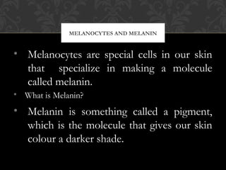 • Melanocytes are special cells in our skin
that specialize in making a molecule
called melanin.
• What is Melanin?
• Melanin is something called a pigment,
which is the molecule that gives our skin
colour a darker shade.
MELANOCYTES AND MELANIN
 
