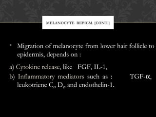 MELANOCYTE REPIGM. [CONT.]
• Migration of melanocyte from lower hair follicle to
epidermis, depends on :
a) Cytokine release, like FGF, IL-1,
b) Inflammatory mediators such as : TGF-α,
leukotriene C4, D4, and endothelin-1.
 