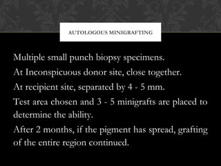 AUTOLOGOUS MINIGRAFTING
Multiple small punch biopsy specimens.
At Inconspicuous donor site, close together.
At recipient site, separated by 4 - 5 mm.
Test area chosen and 3 - 5 minigrafts are placed to
determine the ability.
After 2 months, if the pigment has spread, grafting
of the entire region continued.
 