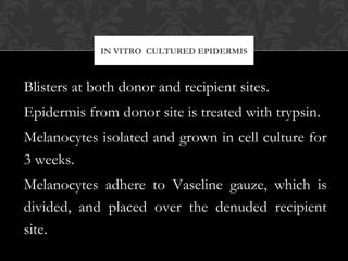 IN VITRO CULTURED EPIDERMIS
Blisters at both donor and recipient sites.
Epidermis from donor site is treated with trypsin.
Melanocytes isolated and grown in cell culture for
3 weeks.
Melanocytes adhere to Vaseline gauze, which is
divided, and placed over the denuded recipient
site.
 
