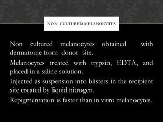 NON CULTURED MELANOCYTES
Non cultured melanocytes obtained with
dermatome from donor site.
Melanocytes treated with trypsin, EDTA, and
placed in a saline solution.
Injected as suspension into blisters in the recipient
site created by liquid nitrogen.
Repigmentation is faster than in vitro melanocytes.
 