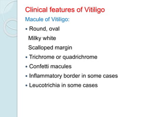 Clinical features of Vitiligo
Macule of Vitiligo:
 Round, oval
Milky white
Scalloped margin
 Trichrome or quadrichrome
 Confetti macules
 Inflammatory border in some cases
 Leucotrichia in some cases
 