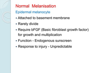 Normal Melanisation
Epidermal melanocyte
 Attached to basement membrane
 Rarely divide
 Require bFGF (Basic fibroblast growth factor)
for growth and multiplication
 Function - Endogenous sunscreen
 Response to injury - Unpredictable
 