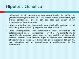 Hipótesis Genética
 Alkhateeb et al. demostraron una concordancia de vitiligo en
gemelos monocigóticos sólo de 23%, lo cual indica, nuevamente, que
existen componentes que no son genéticos que juegan un rol
importante en la patogénesis.
 Algunos estudios han demostrado una asociación positiva con el
HLA-DR4 y el HLA-DR53 y negativa con el HLA-DR3.12
 Otros investigadores han identificado locus susceptibles de
autoinmunidad en los cromosomas 1, 7, 8 y 17, aumento de la
expresión de algunos genes, como el que codifica el factor de
necrosis tumoral alfa (FNT-α) cuya expresión está aumentada
alrededor de las lesiones, y disminución en la expresión del gen KIT,
que interviene en la supervivencia y proliferación de los
melanocitos.
 